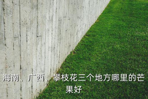 攀枝花芒果都銷網(wǎng)哪里,攀枝花三個地方哪里的芒果好