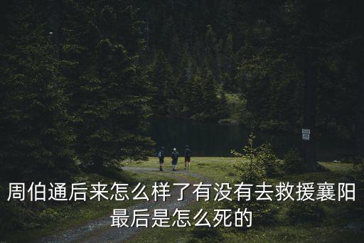 襄陽后來怎么被滅的,最后是怎么死的