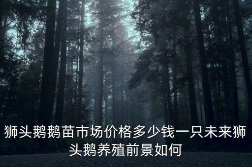 獅頭鵝鵝苗市場價格多少錢一只未來獅頭鵝養(yǎng)殖前景如何