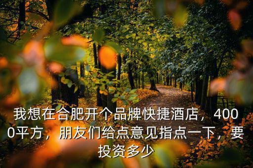 我想在合肥開個品牌快捷酒店，4000平方，朋友們給點意見指點一下，要投資多少