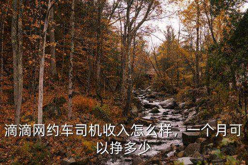 合肥開滴滴罰款多少,一個月可以掙多少