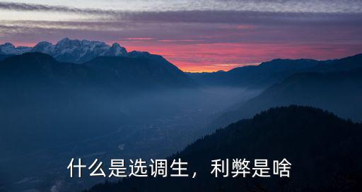 什么是選調(diào)生，利弊是啥