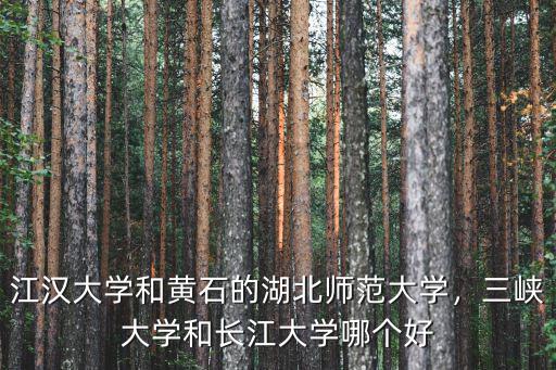 江漢大學(xué)和黃石的湖北師范大學(xué)，三峽大學(xué)和長(zhǎng)江大學(xué)哪個(gè)好