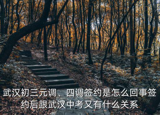 武漢元調怎么查成績,武漢初三元調