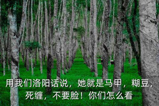 用我們洛陽話說，她就是馬甲，糊豆，死纏，不要臉！你們怎么看