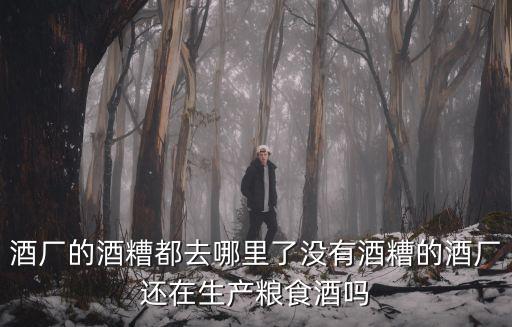 酒廠的酒糟都去哪里了沒有酒糟的酒廠還在生產糧食酒嗎