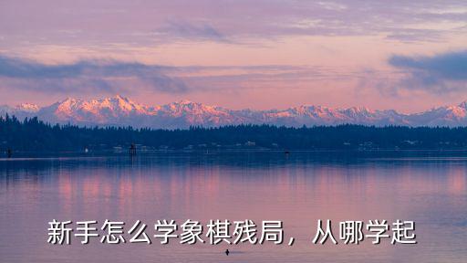 樂山哪里學象棋,孩子學圍棋還是學象棋好呢