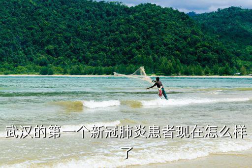 武漢的病情現(xiàn)在怎么,武漢現(xiàn)在的情況到底怎么樣了