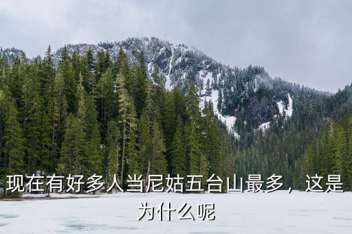 河南登封蓮花寺的尼姑有多少,里面有多少上過大學的尼姑