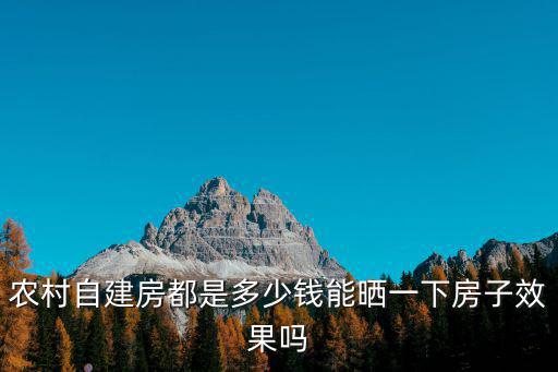在安徽自建房子多少錢,在安徽安慶蓋一間