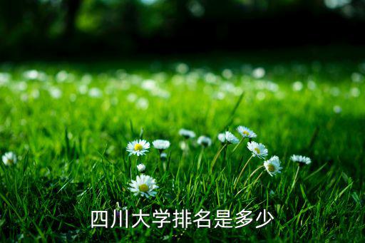 四川大學(xué)排名是多少