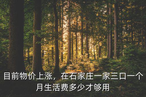 石家莊的物價指數是多少,河北石家莊的消費水平如何