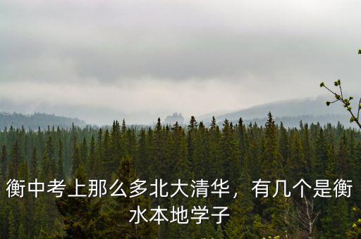河北考生有多少人考上清華的,那些考上清華