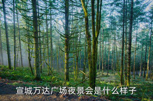 宣城萬(wàn)達(dá)廣場(chǎng)夜景會(huì)是什么樣子
