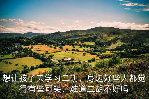 想讓孩子去學習二胡，身邊好些人都覺得有些可笑，難道二胡不好嗎