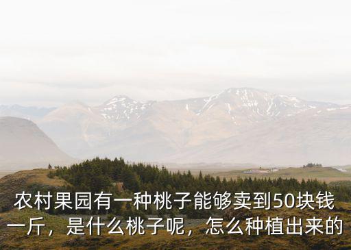 滁州桃子多少錢一斤,現在的桃子多少錢一斤