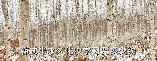 韓式半永久化妝學(xué)習(xí)要多少錢