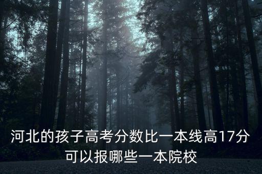 河北的孩子高考分數比一本線高17分可以報哪些一本院校