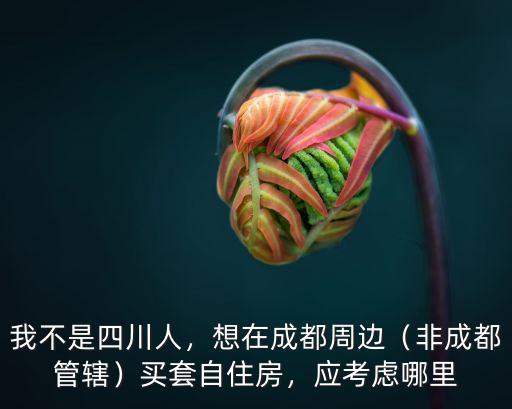 成都哪里有假的房子,聽說成都有第四代房子