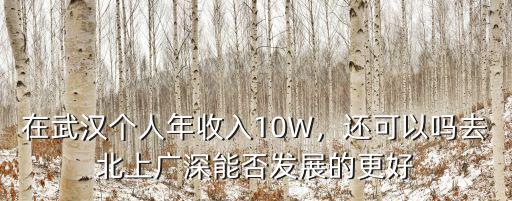 武漢怎么樣可以賺錢嗎,你覺得賺錢嗎