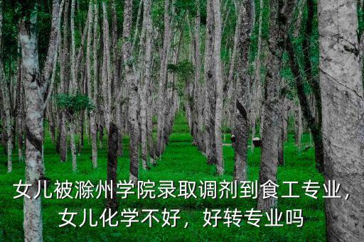 滁州學院績點是多少,滁州學院排名多少