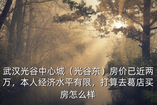 武漢光谷東人氣怎么樣,武漢光谷金融港和光谷東相比