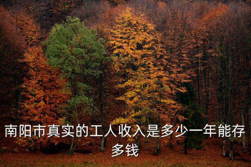 南陽市真實的工人收入是多少一年能存多錢