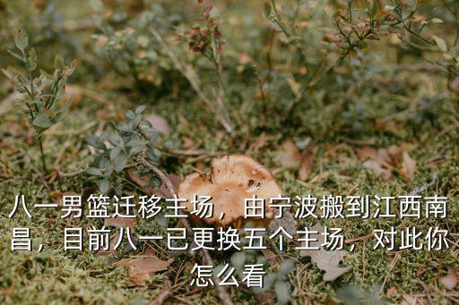成都八一男籃主場在哪里,八一男籃遷移主場