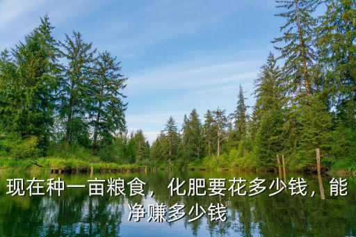 現在種一畝糧食，化肥要花多少錢，能凈賺多少錢