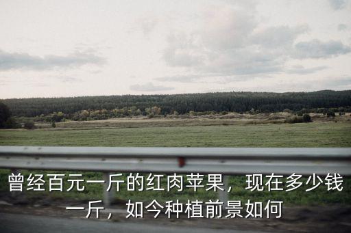 唐山的蘋果現(xiàn)在多少錢一斤,蘋果現(xiàn)在多少錢一斤了