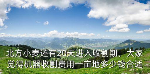 北方小麥還有20天進入收割期，大家覺得機器收割費用一畝地多少錢合適
