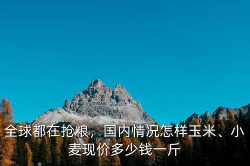 安徽懷遠(yuǎn)縣小麥在地里能賣多少錢,小麥現(xiàn)價多少錢一斤