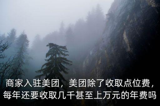 商家入駐美團(tuán)，美團(tuán)除了收取點(diǎn)位費(fèi)，每年還要收取幾千甚至上萬元的年費(fèi)嗎