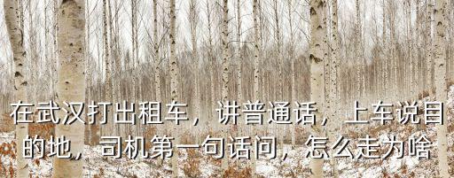 武漢出租車宰客怎么辦,在武漢打出租車