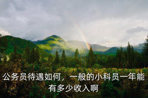 公務員待遇如何，一般的小科員一年能有多少收入啊