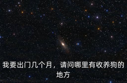 資陽哪里有收養(yǎng)狗的地方,請問哪里有收養(yǎng)狗的地方
