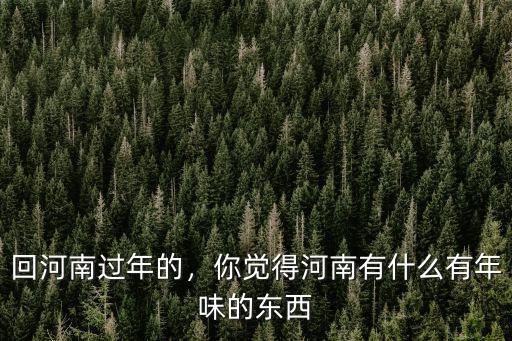 過(guò)年河南哪里熱鬧,回河南過(guò)年的