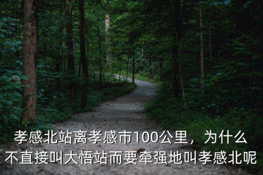 孝感北站離孝感市100公里，為什么不直接叫大悟站而要牽強地叫孝感北呢