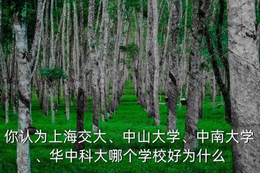 上海交大武漢華中科大怎么選,華中科大哪個學(xué)校好