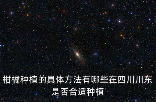 柑橘種植的具體方法有哪些在四川川東是否合適種植