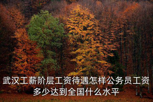 武漢3500工資待遇怎么樣,武漢工薪階層工資待遇怎樣