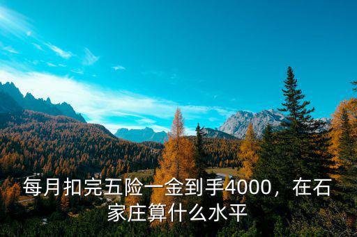 每月扣完五險一金到手4000，在石家莊算什么水平