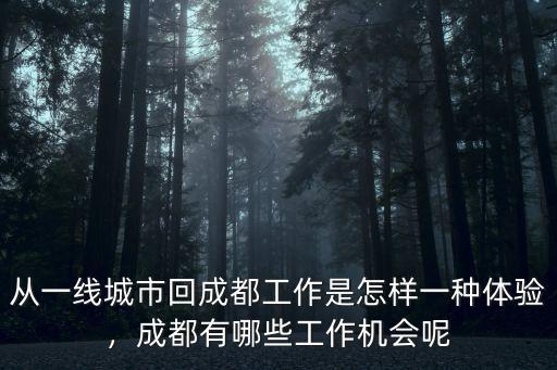 從一線城市回成都工作是怎樣一種體驗，成都有哪些工作機會呢
