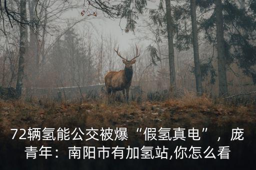 72輛氫能公交被爆“假氫真電”，龐青年：南陽市有加氫站,你怎么看