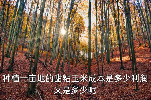 種植一畝地的甜粘玉米成本是多少利潤又是多少呢
