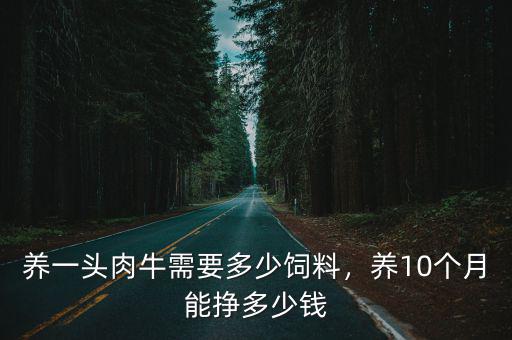 養(yǎng)一頭肉牛需要多少飼料，養(yǎng)10個月能掙多少錢