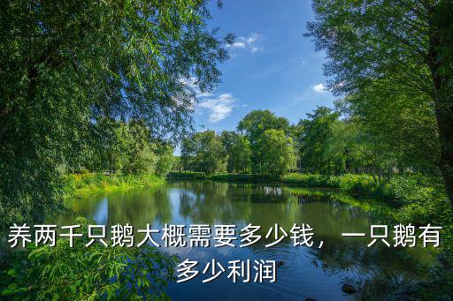 衡水商品鵝蛋多少錢一只,一只鵝有多少利潤