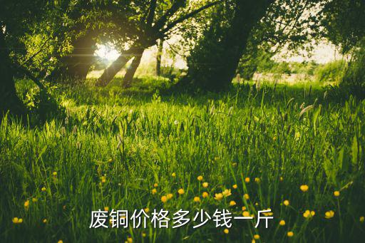 安徽最新銅價格多少錢一斤,廢銅價格多少錢一斤