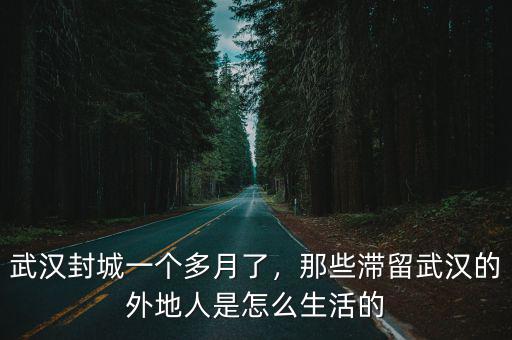 武漢封城一個多月了，那些滯留武漢的外地人是怎么生活的