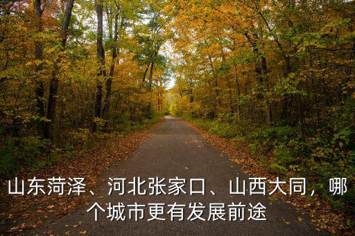山東菏澤、河北張家口、山西大同，哪個城市更有發展前途
